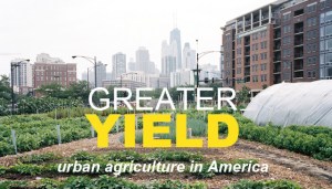 10312780053_779928cc85_z